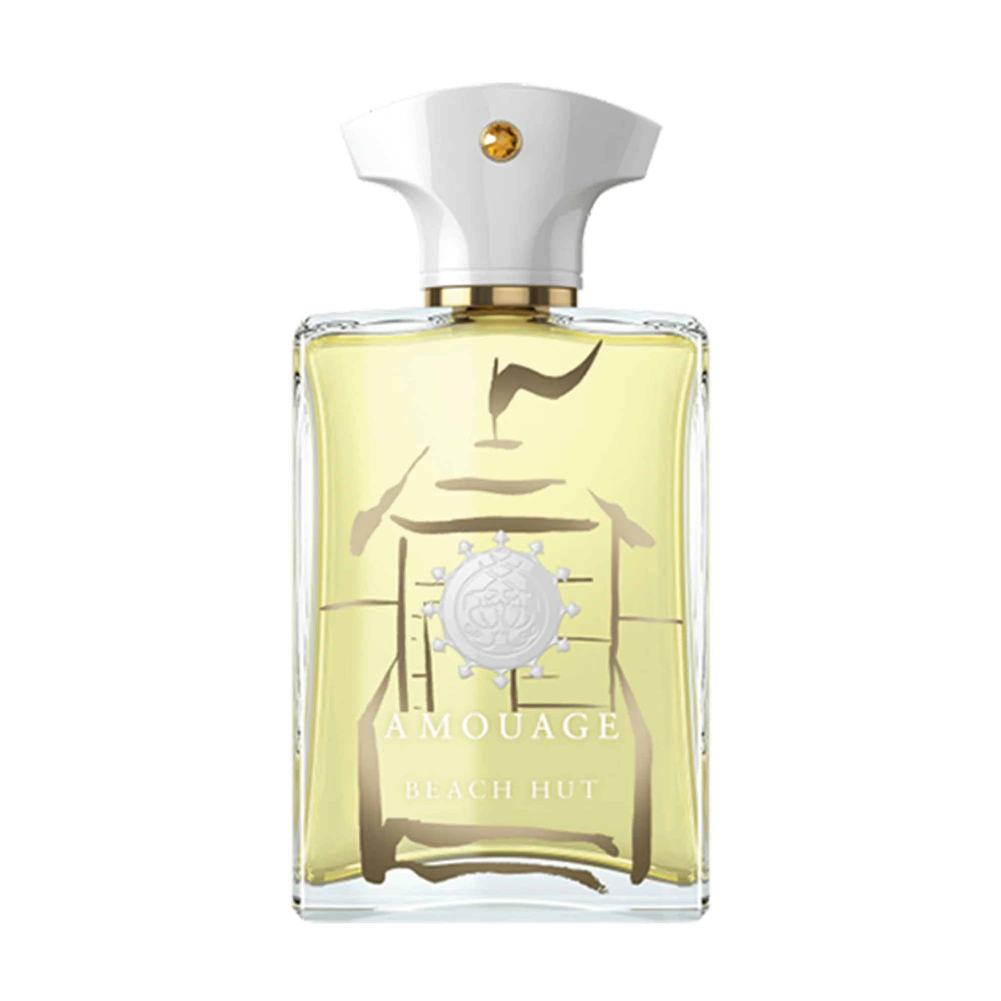 Amouage Beach Hut parfémovaná voda pánská 100 ml