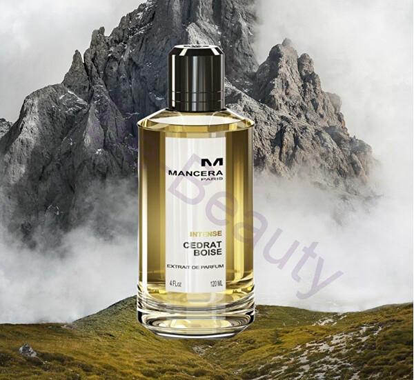 Mancera Intense Cedrat Boise parfém pánský 120 ml